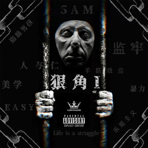 日本电影在叔母家做客
