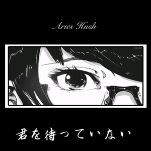 日本电影在叔母家做客
