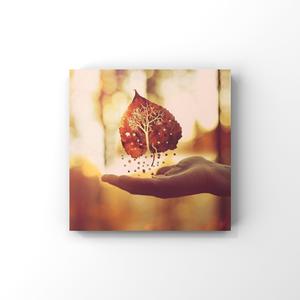 日本电影在叔母家做客
