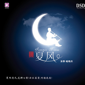 日本电影在叔母家做客
